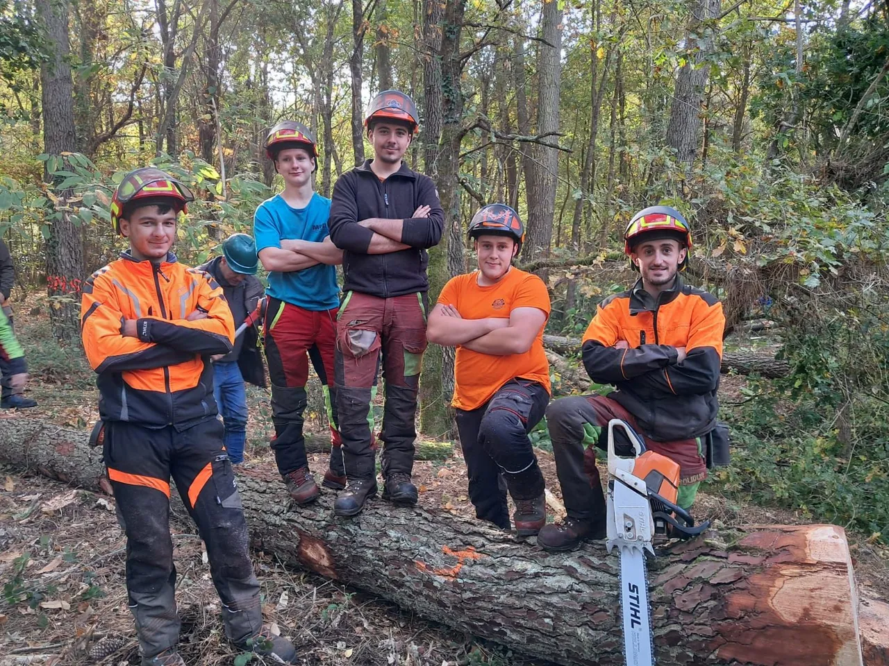 Les candidats du concours de bûcheronnage