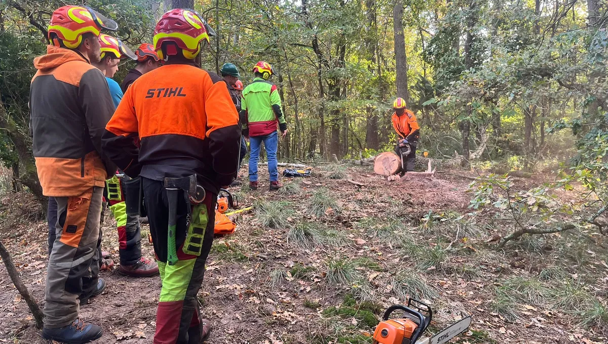 Concours de bûcheronnage à Continvoir