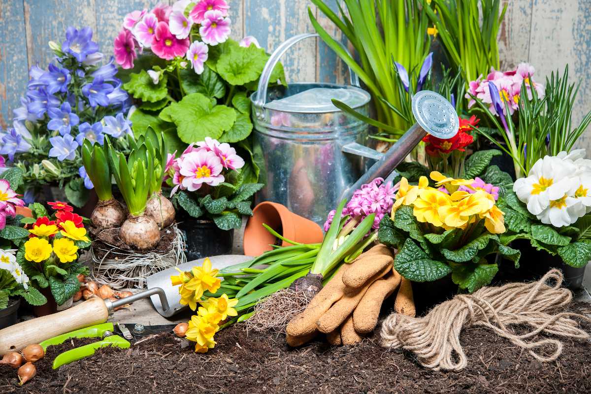 Entretien jardin printemps